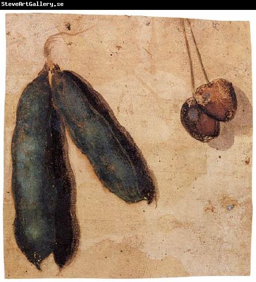 Simone Peterzano Peapods and Cherries